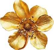 dark gold flower